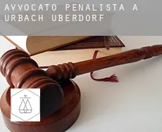 Avvocato penalista a  Urbach-Überdorf