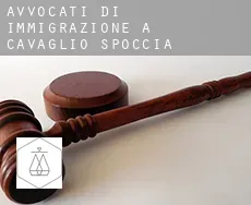 Avvocati di immigrazione a Cavaglio-Spoccia