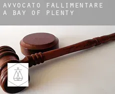 Avvocato fallimentare a  Bay of Plenty