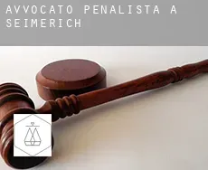 Avvocato penalista a  Seimerich