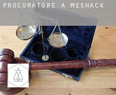 Procuratore a Meshack