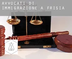 Avvocati di immigrazione a  Frisia