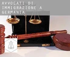 Avvocati di immigrazione a Germania