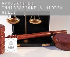 Avvocati di immigrazione a Hidden Hills