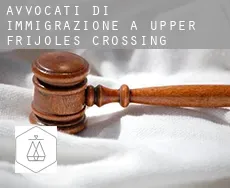 Avvocati di immigrazione a Upper Frijoles Crossing