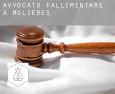 Avvocato fallimentare a Molières