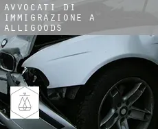Avvocati di immigrazione a Alligoods