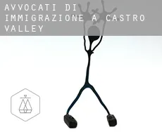 Avvocati di immigrazione a Castro Valley