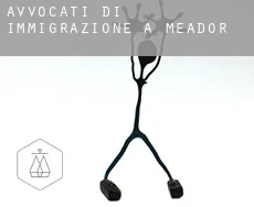 Avvocati di immigrazione a  Meador