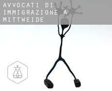 Avvocati di immigrazione a  Mittweide