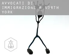 Avvocati di immigrazione a  North York