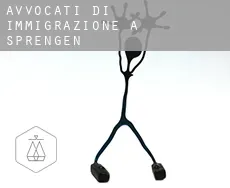 Avvocati di immigrazione a  Sprengen