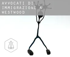Avvocati di immigrazione a  Westwood