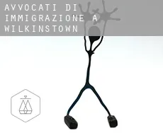 Avvocati di immigrazione a Wilkinstown