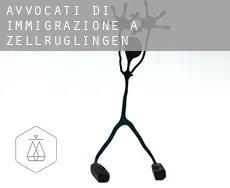 Avvocati di immigrazione a Zellrüglingen