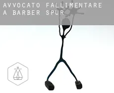 Avvocato fallimentare a Barber Spur