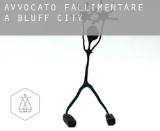 Avvocato fallimentare a Bluff City