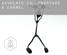 Avvocato fallimentare a Carmel