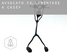 Avvocato fallimentare a Casey