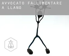 Avvocato fallimentare a Llano