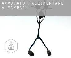 Avvocato fallimentare a  Maybach