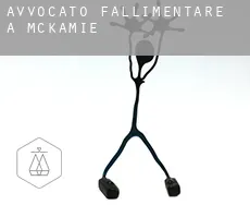 Avvocato fallimentare a McKamie