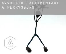 Avvocato fallimentare a Perrysburg