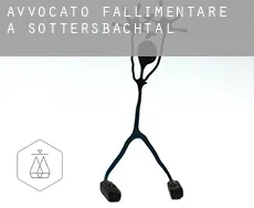 Avvocato fallimentare a  Sottersbachtal