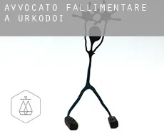 Avvocato fallimentare a Urcuray