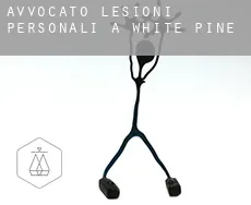 Avvocato lesioni personali a White Pine
