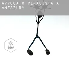 Avvocato penalista a  Amesbury