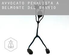 Avvocato penalista a  Belmonte del Sannio