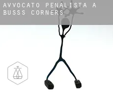 Avvocato penalista a  Buss's Corners