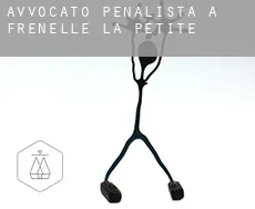Avvocato penalista a  Frenelle-la-Petite