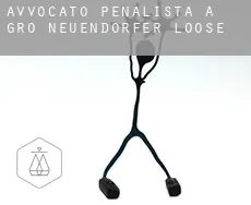 Avvocato penalista a  Groß Neuendorfer Loose