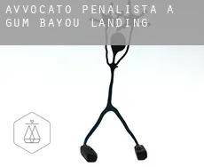 Avvocato penalista a  Gum Bayou Landing