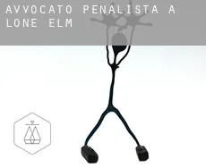 Avvocato penalista a Lone Elm