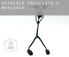 Avvocato penalista a  Mühlbach