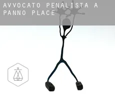 Avvocato penalista a Panno Place