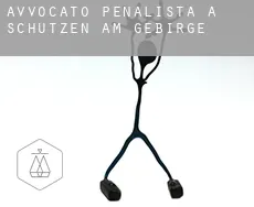 Avvocato penalista a Schützen am Gebirge