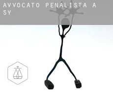 Avvocato penalista a  Sy