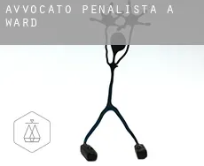 Avvocato penalista a  Ward
