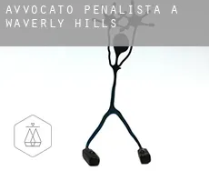 Avvocato penalista a  Waverly Hills