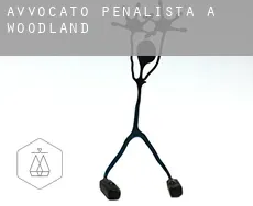 Avvocato penalista a Woodland