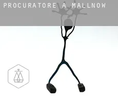 Procuratore a  Mallnow