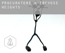 Procuratore a Trevose Heights