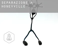 Separazione a Honeyville