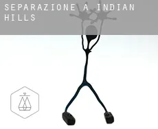 Separazione a Indian Hills