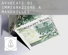 Avvocati di immigrazione a Mandailles