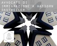 Avvocati di immigrazione a  Hasborn-Dautweiler